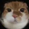 VIKEY