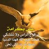 user7470744261428