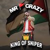 mrcrazy8966