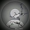 ranamhumdhsn