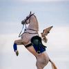 waleedjouda2