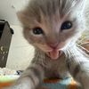 barmalei_562