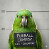 Furball Comedy Crew