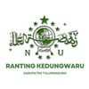nu.kedungwaru