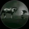 zilla_gujrat_995