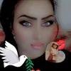 melek13358