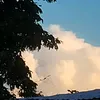 miles_balisi