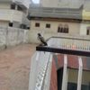 Mirza writes_67
