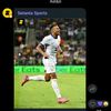 belligol.fan1