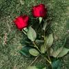 doaa.alhallak