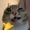 NEKO SENPAI
