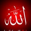 puzlollah.hakmal10