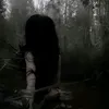 .vro.15