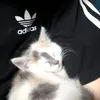 sonyasonyaa