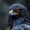 abdullah.saqr02