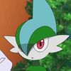 gallade_enjoyer