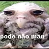 philipe.manoel2