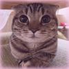 mixquiet3
