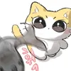 stefrx_user