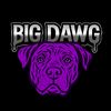 bigdawgstore