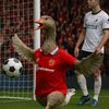 toulousemygoose