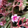 marcacosta83