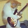 canyonlullaby