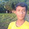 pms.limon