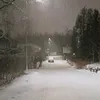 simo7_7_7
