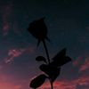 Endless Heart