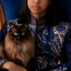 fatxi2565