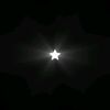 yagmur_dal1
