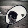 user115055419552