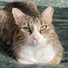 mia.eloise.cat