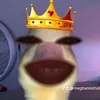 meghannichole._0
