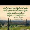 muhammadkhateeb944