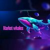 📊🐋Market Whales