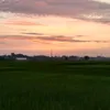 anh.duong759