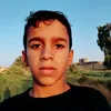 ay20q