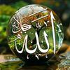 user86268131354395