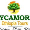 SycamoreTravel