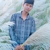 hasib456777