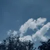 37hcmut