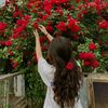 aliana.ayesha1