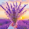 ❤️💜💚CỎI TA BÀ KHỒ 🩵🧡💙💛