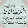 user9517802026508