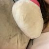 farah_fifi07