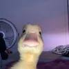 nickde1real