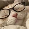 catvyr_.x4