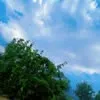 nila.ahmad17